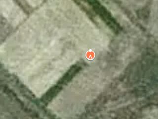 Previzualizare CULEGATOR DE PORUMB DOMINONI KAIMAN SL 978 BG , seria nr. 85184