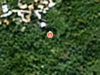 Previzualizare Casa si teren