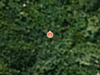 Previzualizare COTA DE 1/2 DIN: teren intravilan imprejmuit in suprafata din acte 2000 mp, impreuna cu constructia C1- Casa cu regim de inaltime P+E+M