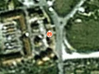 Previzualizare ALIMENTARA