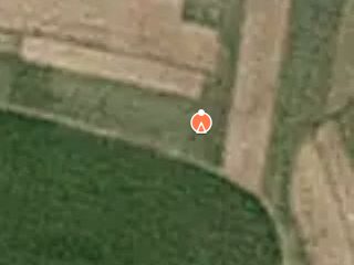Previzualizare Teren suprafata de 2.900 mp Ceuasu de Campie