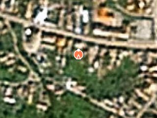 Previzualizare Lot 490 ovine