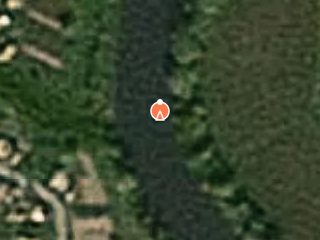 Previzualizare 88 metri cubi masa lemnoasa