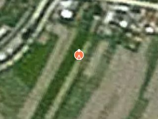 Previzualizare teren